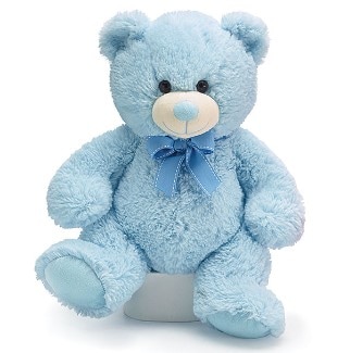 Blue Plush Bear 12